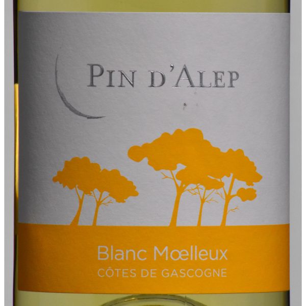 Pin Alep blanc moelleux IGP Oc Gascogne